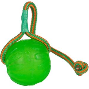 Starmark funball-kasteball med tau grønn