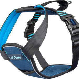 Caresafe kollisjonstestet bilsele