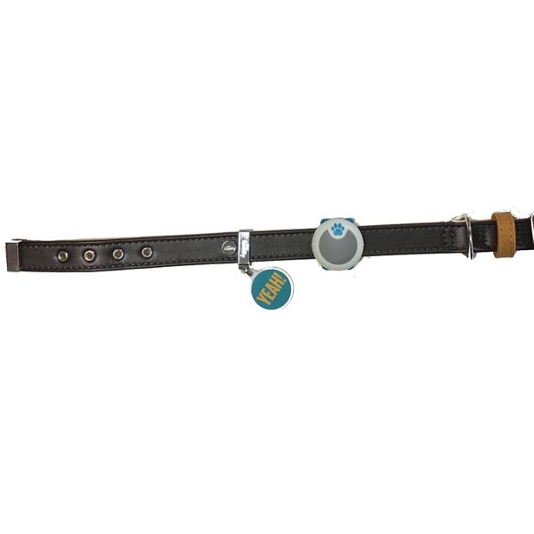 Animo Activity and Behaviour Monitor - Sure Petcare Aktivitetsmåler