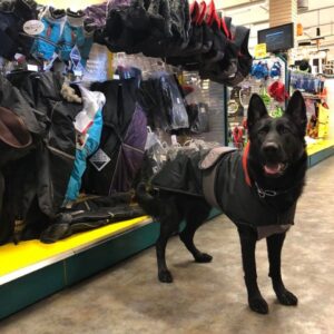 Richo Varmedekken Vinterdekken 40cm