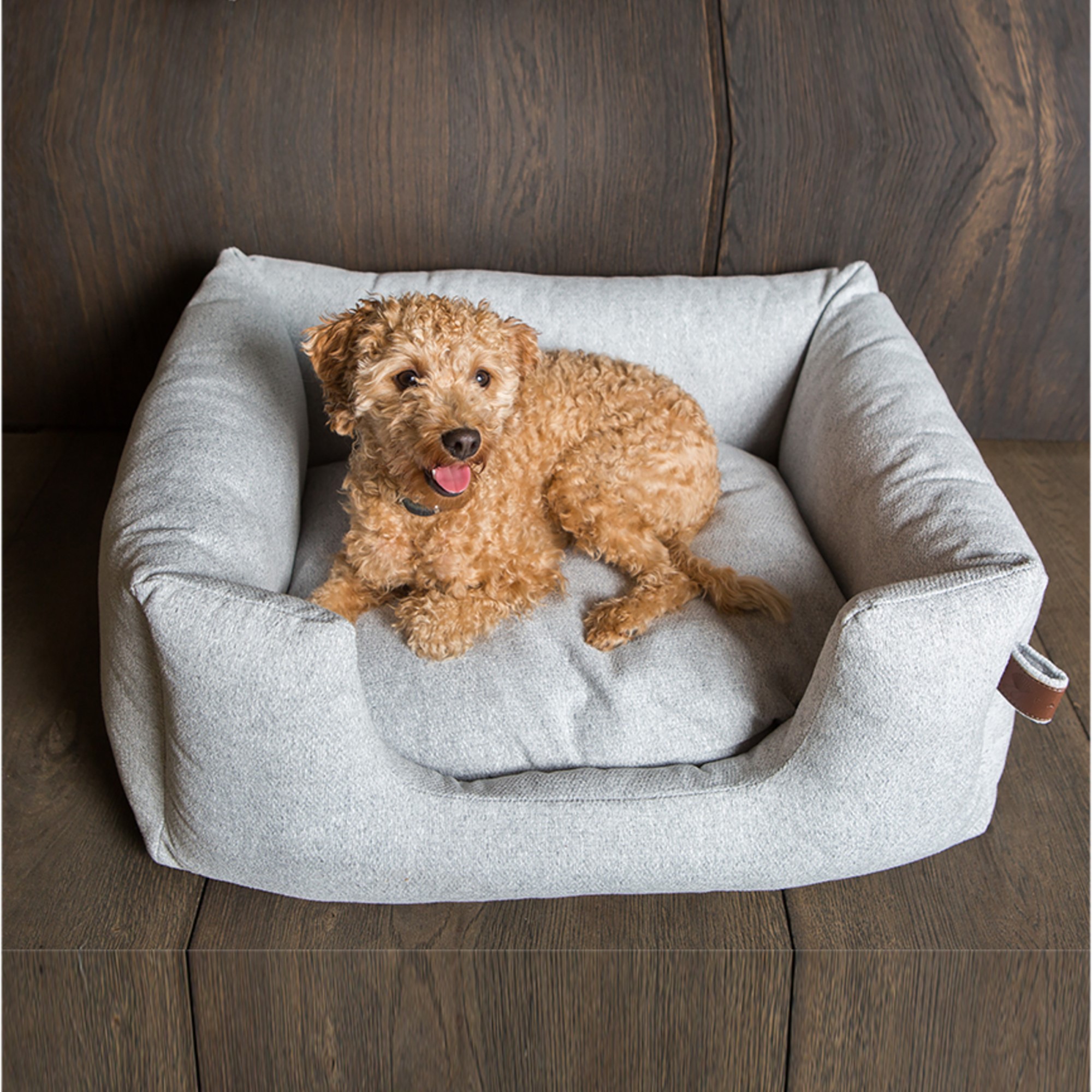 Hundeseng Fantail Snooze Origin