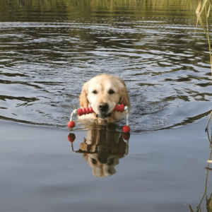 Trixie MOT-Long, flyteleke-dummy
