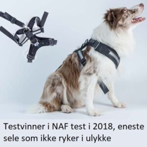 Mim Allsafe Bilsele-Sikkerhetssele til hund